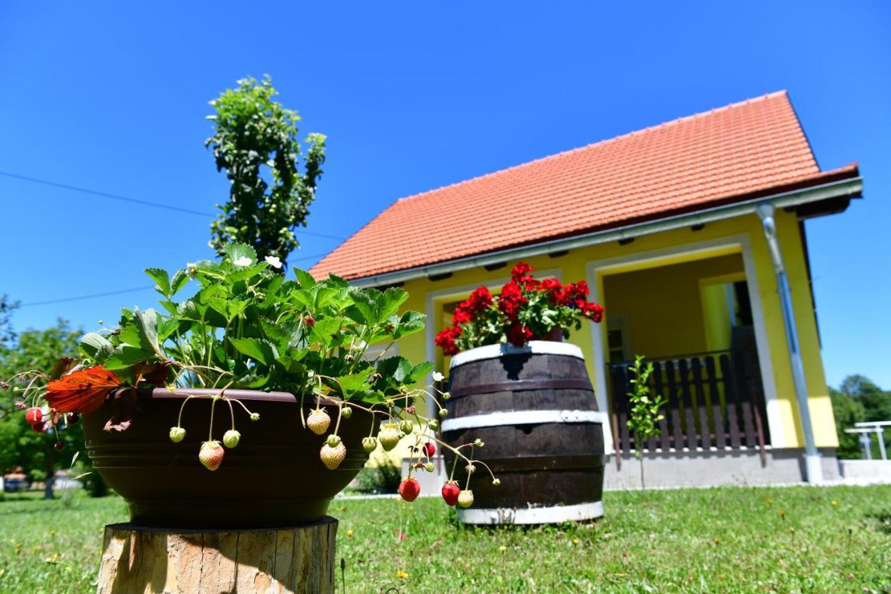 Apartman Vito Saborsko Esterno foto